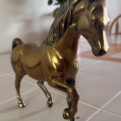 Caballo De Metal 