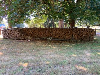 Firewood