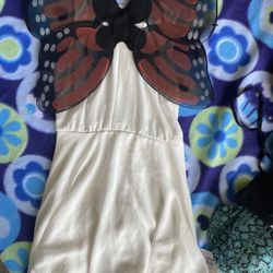 Beautiful Butterfly Costume 