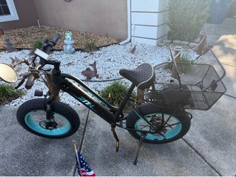 Electric Bike