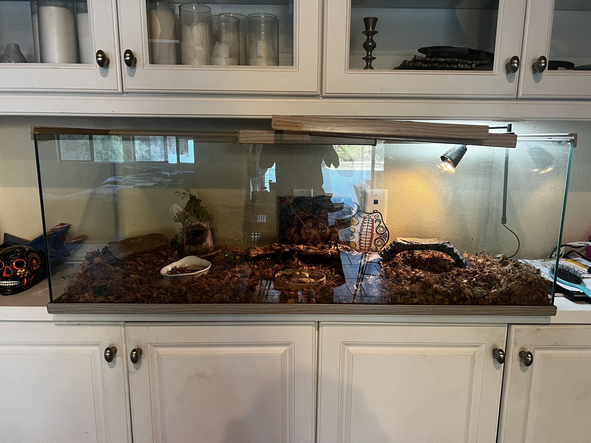 Reptile/Terrarium/Aquarium 60 Gallons