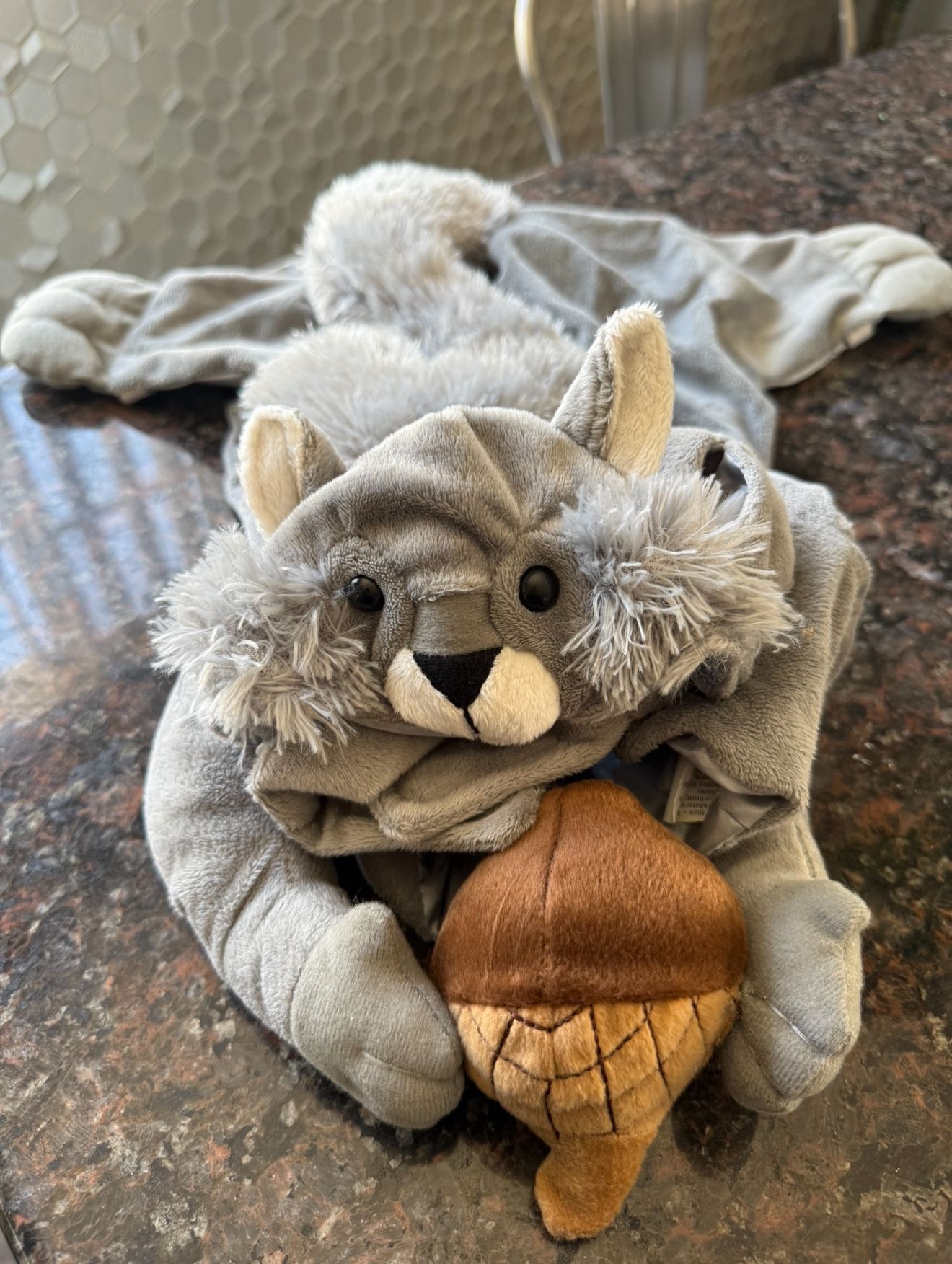DOG COSTUME SQUIRREL COSTUME FOR DOGS