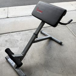 Sunny Roman Chair Excellent Condition