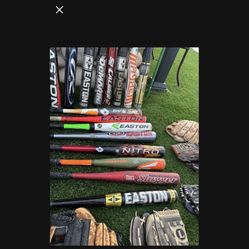 Baseball Bats 