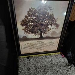 Life Tree Inspirational Photo 