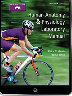 Human Anatomy 9th Edition martini And Lab Manual