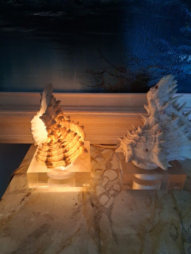 Two Vinatge Seashell Lamps..