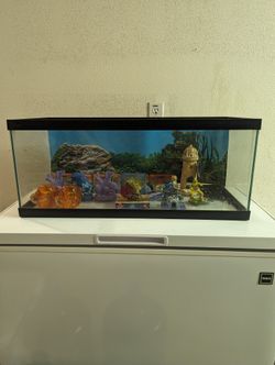 20 Gallon Fish Tank