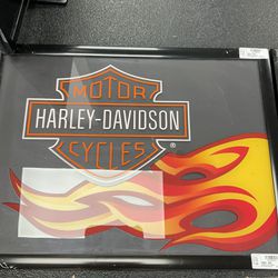 Harley Davidson Pictures 