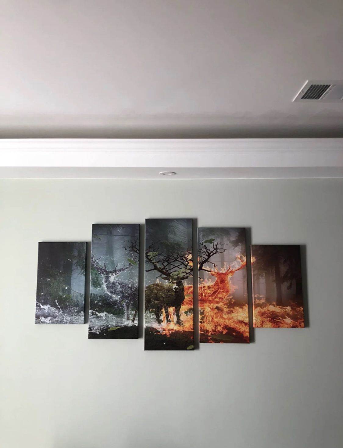 5 piece deer canvas painting