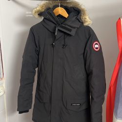 Canada goose 