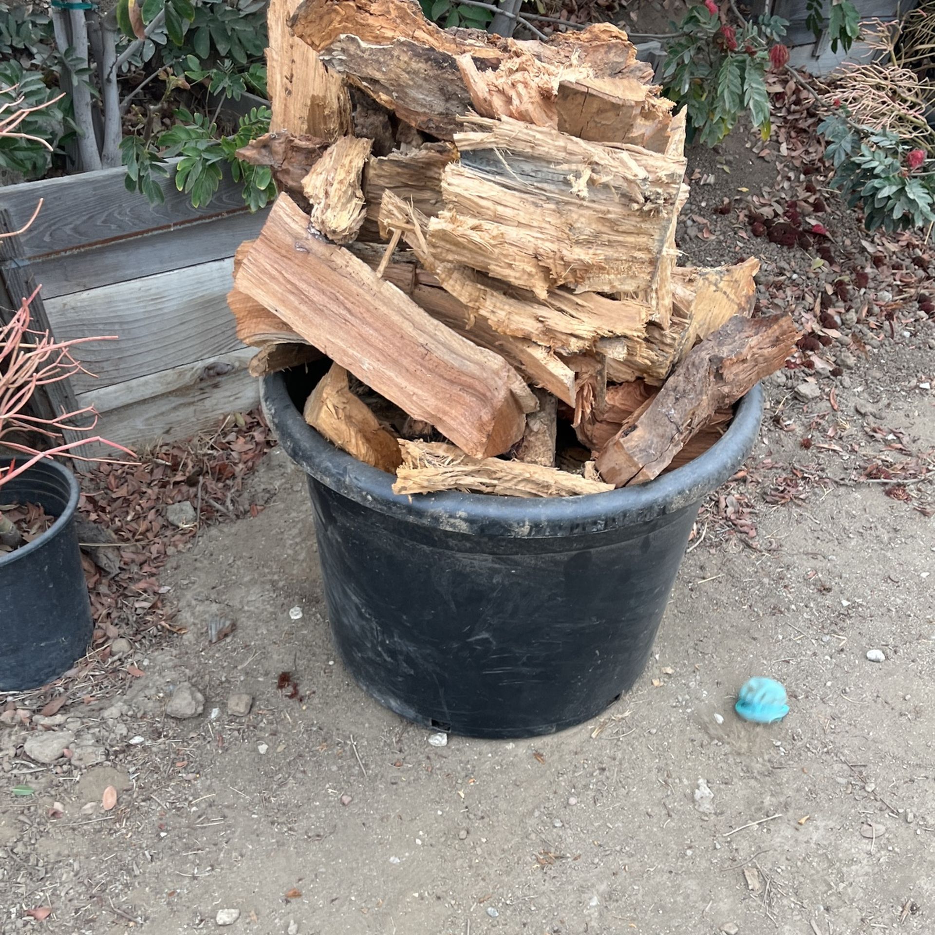 Split Firewood🔥🪵