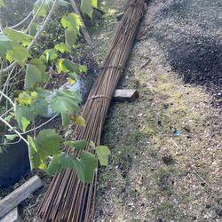 For Sale Un Bando De Barias # 3 $ 550 00