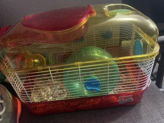 Hámster Cage 