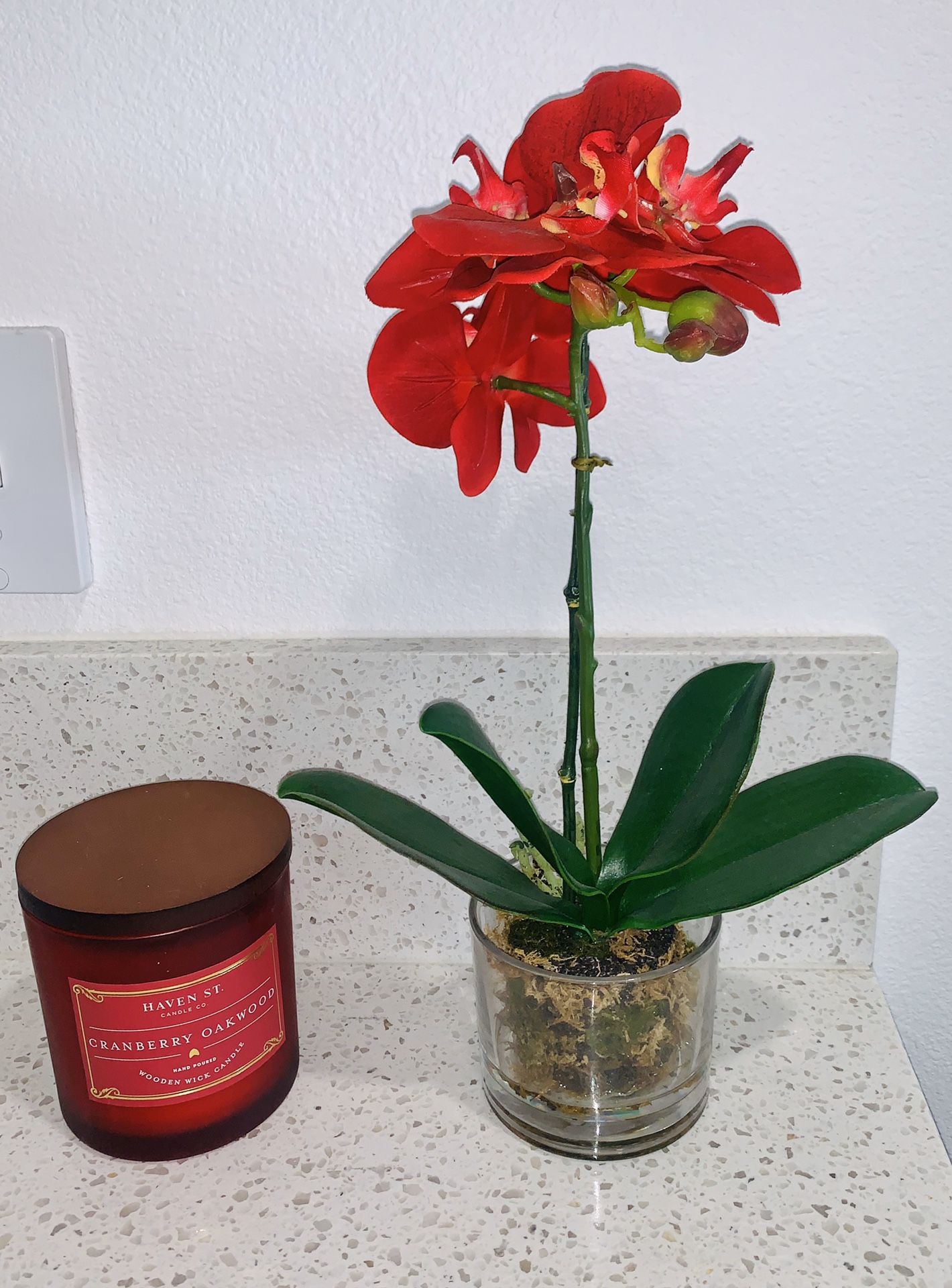 Faux realistic red orchid flower plant + red cranberry oakwood candle BUNDLE