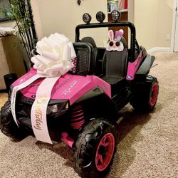 Peg Perego 12V Polaris RZR 900 Powered Ride-On - Pink