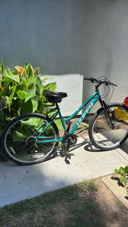 Mountain bike size 29 back tire is flat