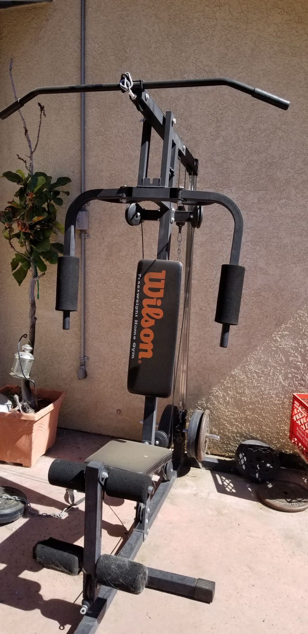 Wilson free outlet weight home gym