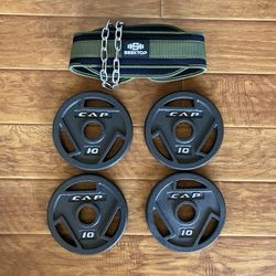 Weights and Dip Belt
