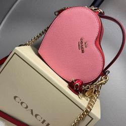 Bolsa Coach 