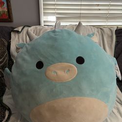 Big  Squishmallows