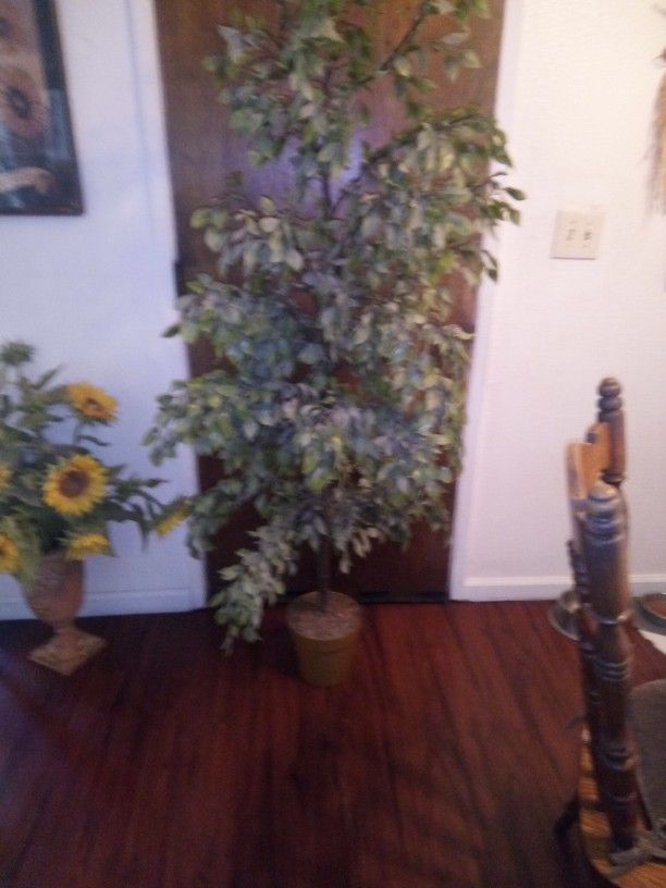 Fake Plant