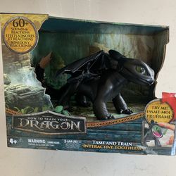 How To Train A Dragon Tame & Train