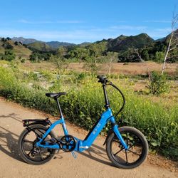 Folding Electric Bike Low Step Thru