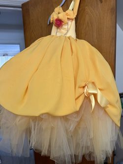 Princess Belle Dress