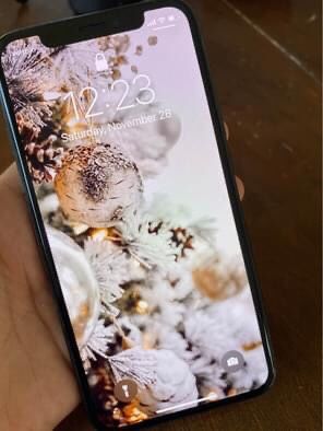 iPhone X 256GB Unlocked