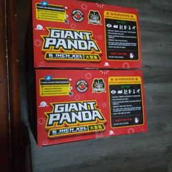Giant Panda 