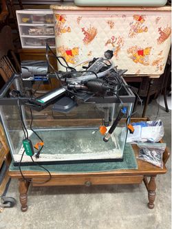 Fish tank/20 gallon tank/Fish tank/20 gallon tank/