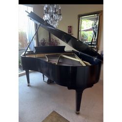 Exquisite Ebony 5’10” Baby Grand