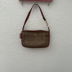 Small Coach Purse
