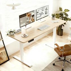 55" Light Oak Electric Standing Desk with Type-C Charging