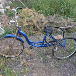 Motorized Trike Bike | Without Motor