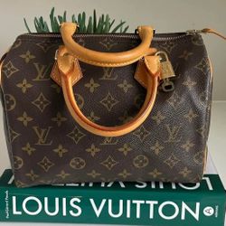 Louis Vuitton Purse
