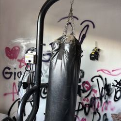 Punching Bag