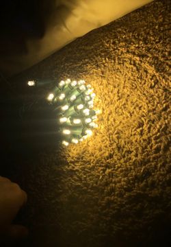 Lights