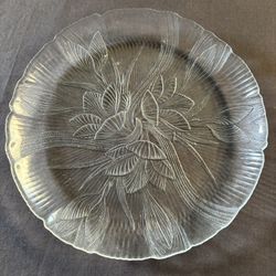 12 Arcoroc Canterbury  10.75" Dinner Plates 