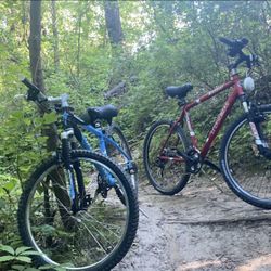 Woman’s Mountain Bike. It’s a specialized Rockhopper 