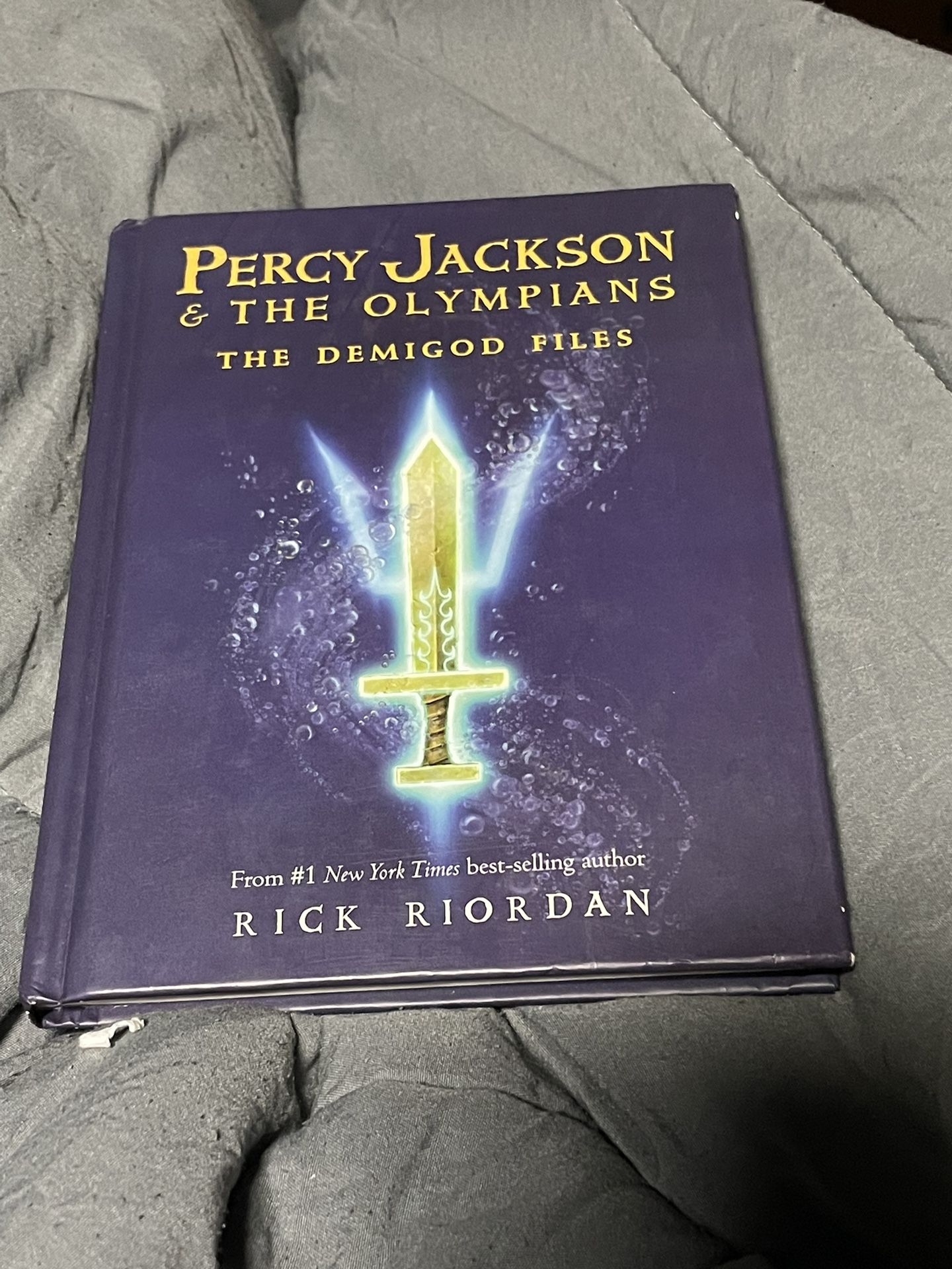 Disney Percy Jackson & The Olympians Book