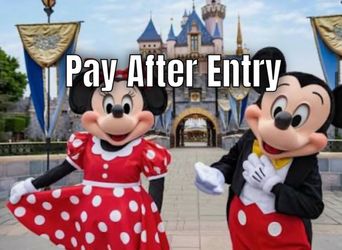 Disney Enter