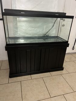 Fish Tank 