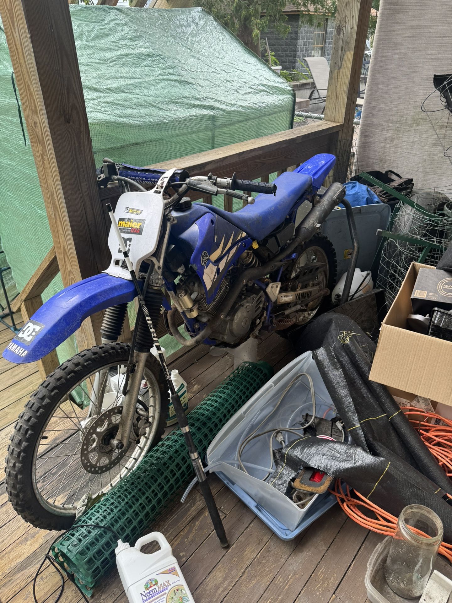2009 Yamaha TTR125L