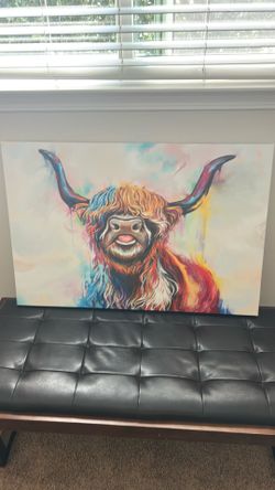 Highland Cow Picture