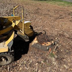 Stump Grinding