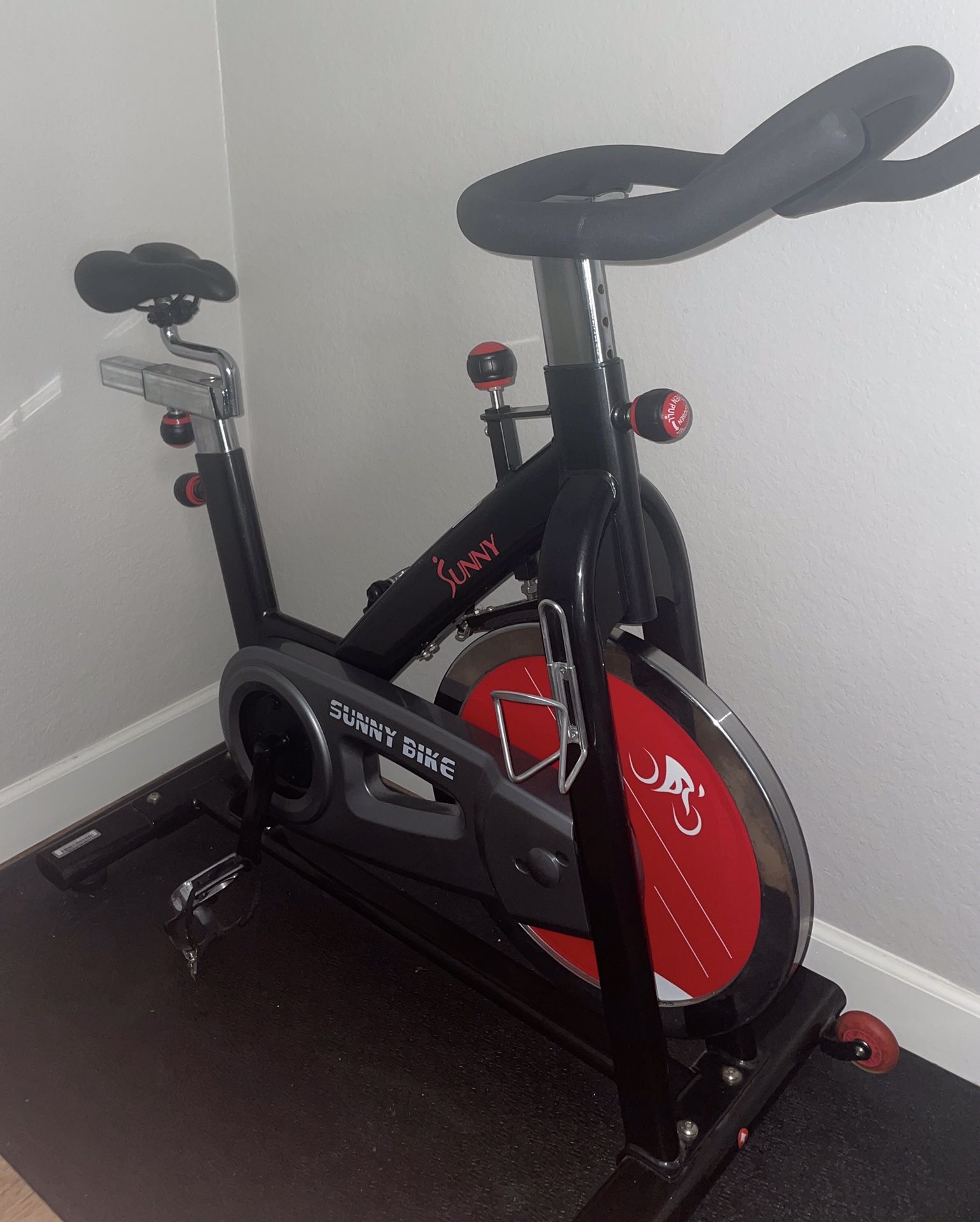 Sunny exercise bike