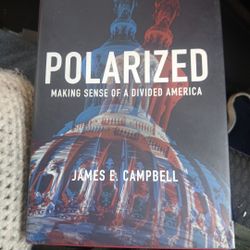 Polarized, Making Sense Of A Divided America