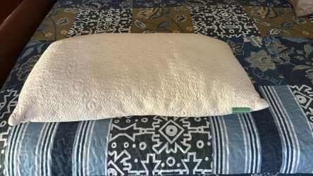 Avocado Pillow